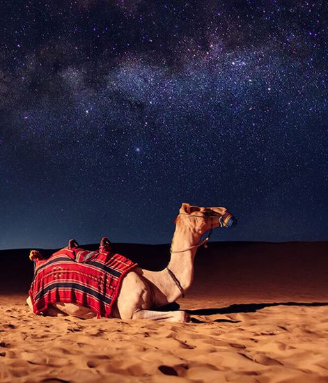 Nomade, диффузор Vents d’Arabie collection, Ladenac Milano