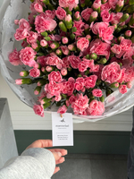 Моно букет из кустовых диантусов в розовом оттенке 51 шт