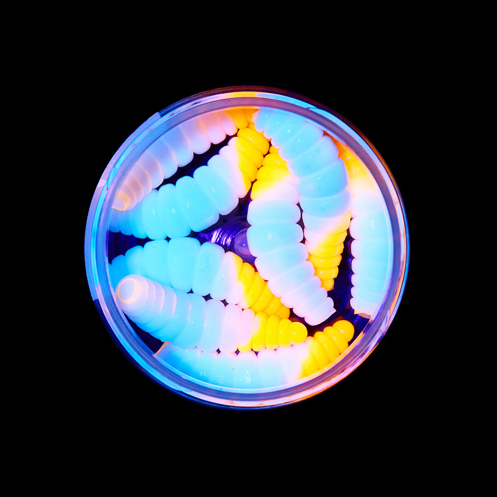 Форелевая приманка "Minoga" MAGGOT 1,6"(8шт) 40мм, 2,5гр, цвет 23