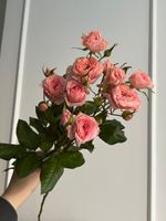 Пионовидная кустовая роза в персиковом оттенке