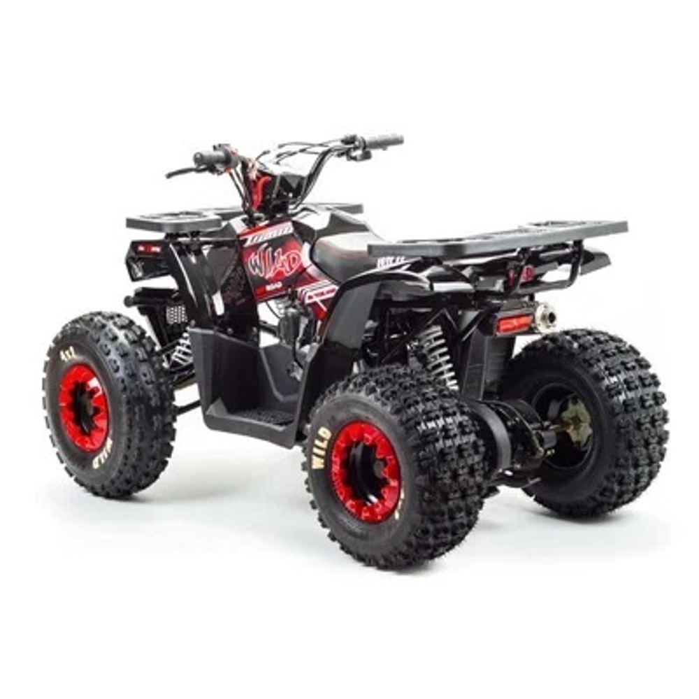 Квадроцикл MOTOLAND WILD 150