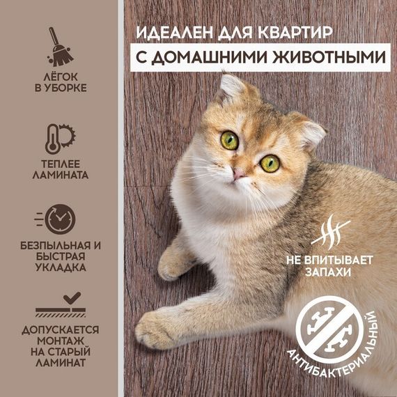 SPC ламинат I-Floors Basic - Дуб Рочестер (4.2 мм)