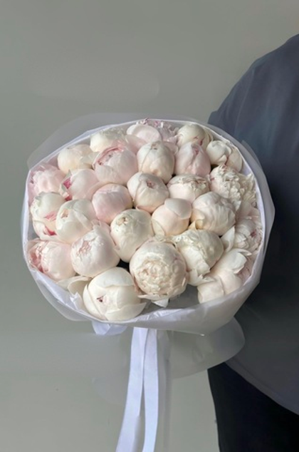 25 белых пионов