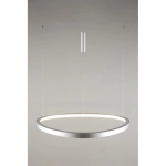 Подвесная люстра Aployt ZULA APL.022.13.60