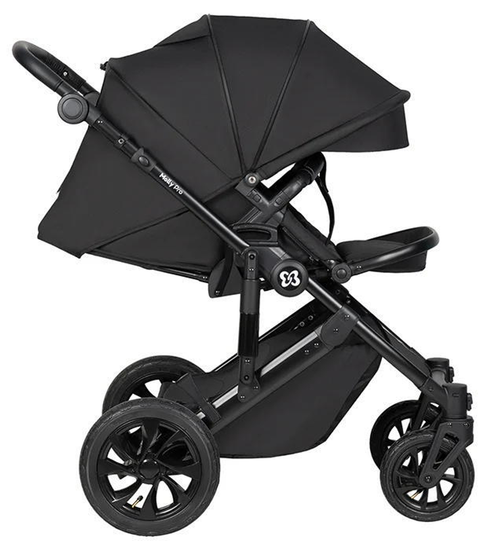 Детская коляска Farfello Molly Pro 3 в 1 черный