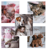 Тетрадь А5 24л. клет. "Питомцы" обложка картон (BRAUBERG)