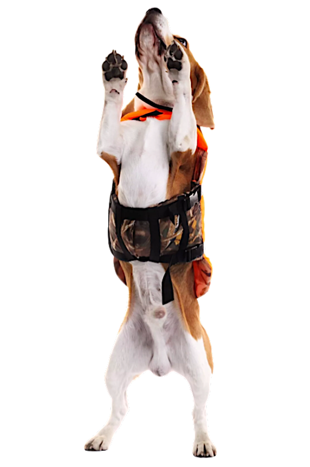 Жилет страховочный Spass для Собак -