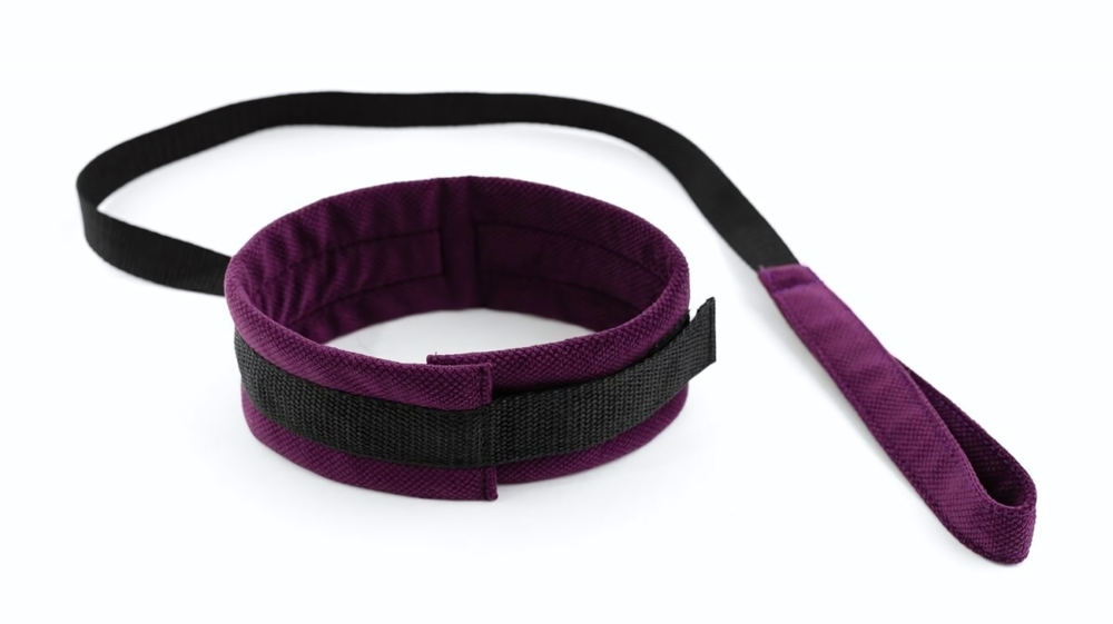 Фиолетово-черный ошейник My rules с поводком (Цвет: фиолетовый с черным)