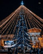 Светодинамическая елка ствольная - встроенная гирлянда: Холодный свет - "Таежная" от 11 до 21 м