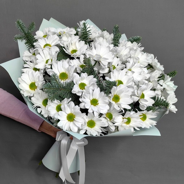 Букет из 9 хризантем и веточек нобилиса