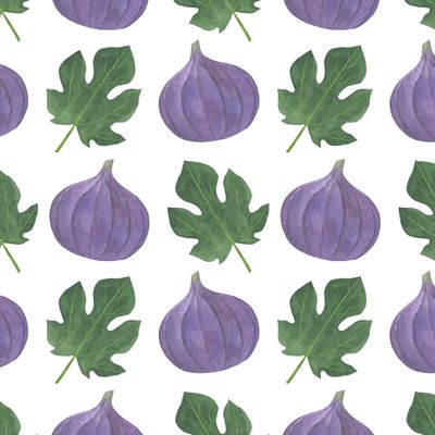 Инжир акварель