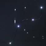 Гирлянда для дома на батарейках 1,5 м 15 ламп LED, 1 реж.,IP-20, Белый