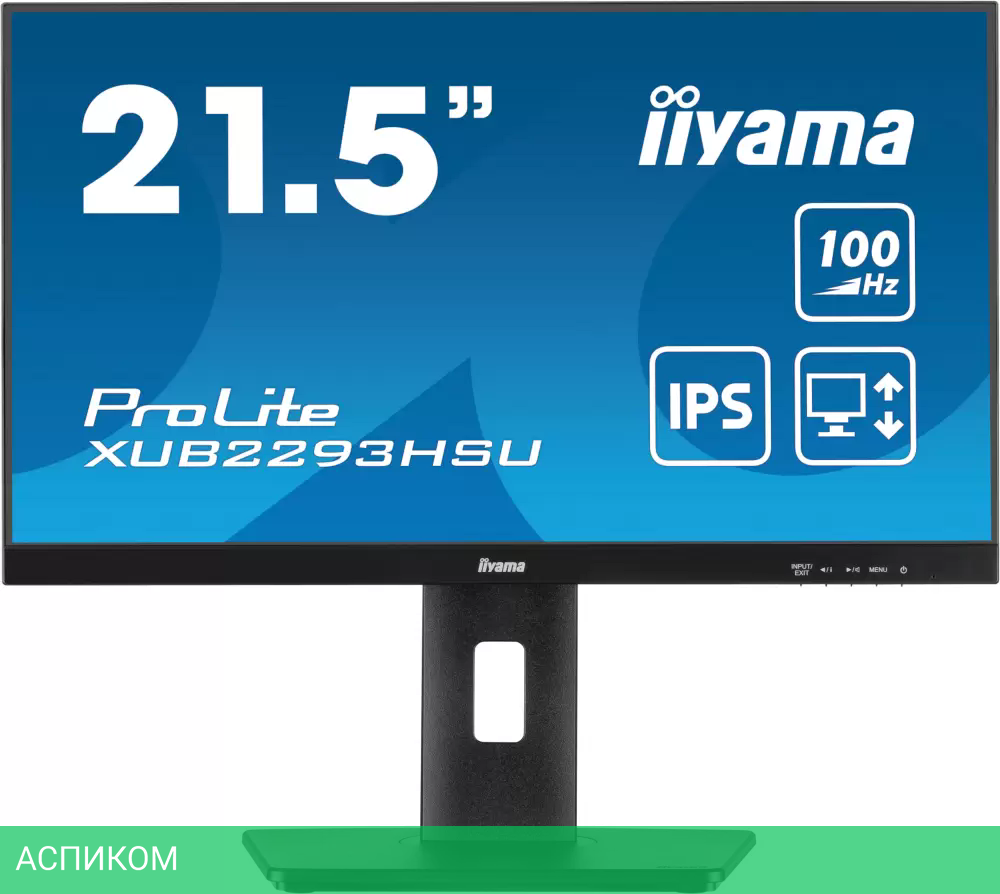 Монитор Iiyama ProLite XUB2293HSU-B6