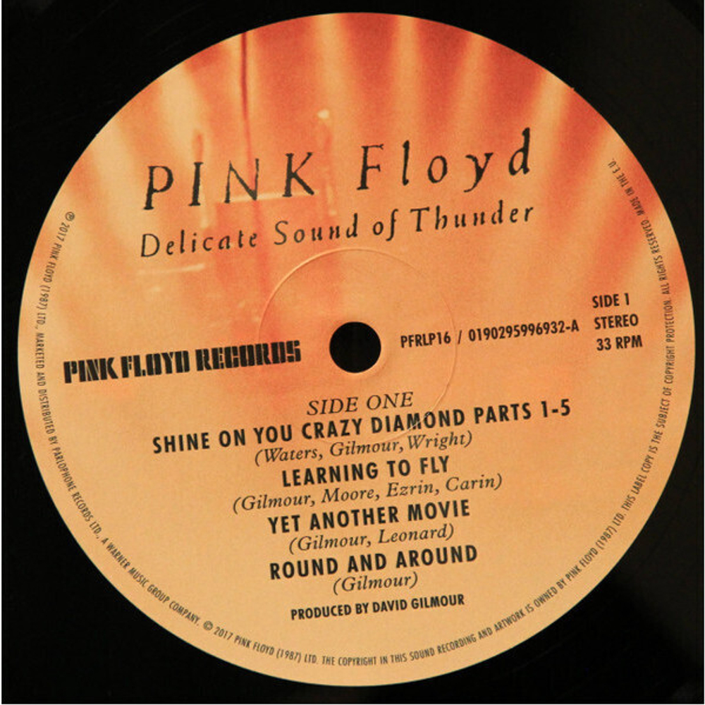 Pink Floyd / Delicate Sound Of Thunder (2LP)