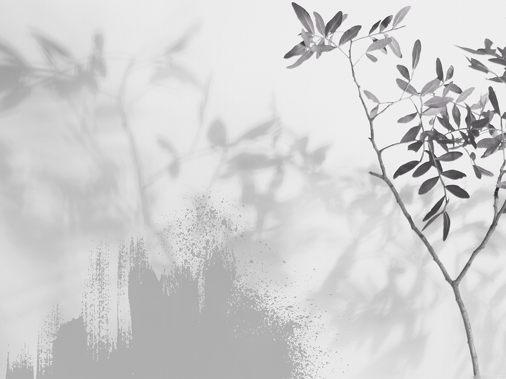 Коллекция VETVE 22