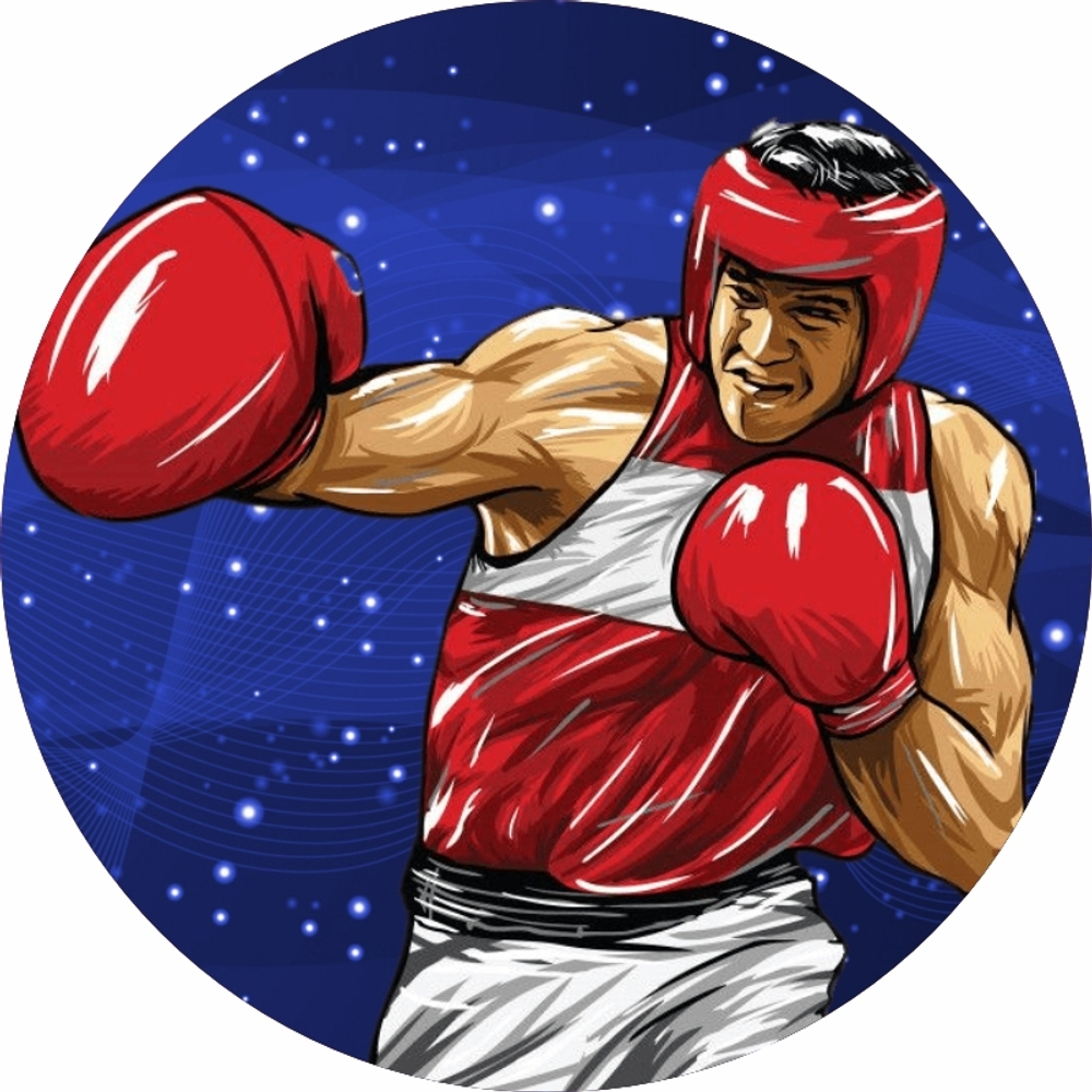 Эмблема Бокс 370-3037