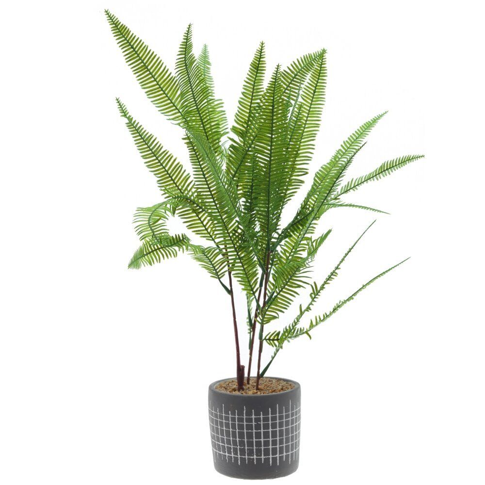 GAEM Цветочная композиция "Папоротник", L11 W11 H59 см