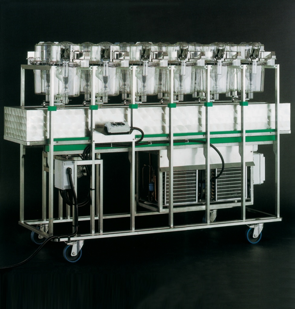 Метаболические клетки