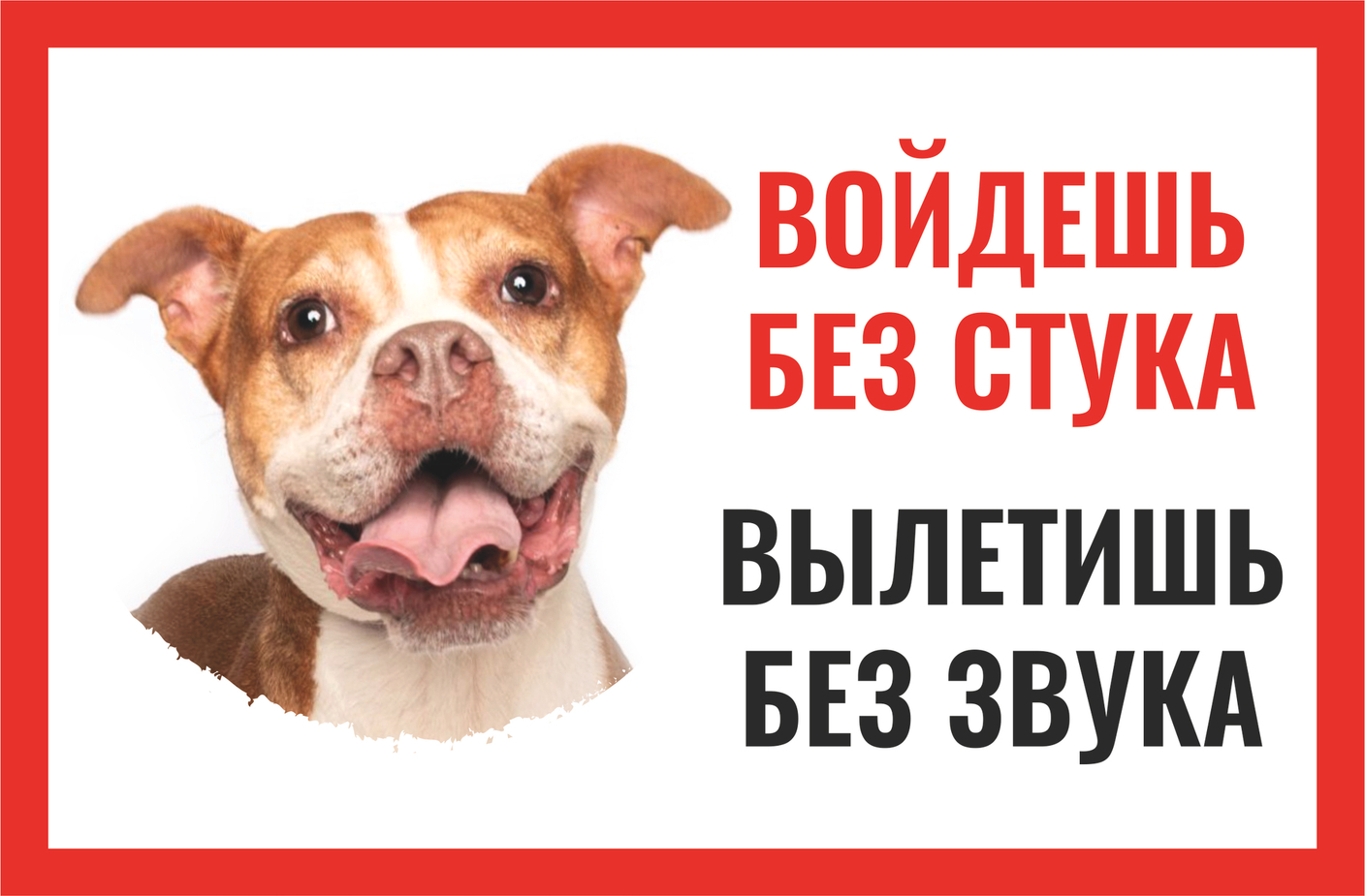 Не дайте шанса! Шокирующие таблички на забор, которые  испугают непрошенных гостей, но удивят друзей!