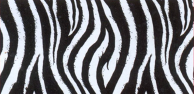 Стекло, рисунок с нелицевой стороны (869) 900*450*4 мм