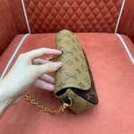 Louis Vuitton Wallet on Chain Ivy