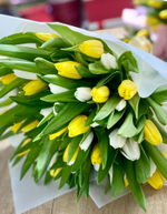 Букет из 35 белых и жёлтых тюльпанов