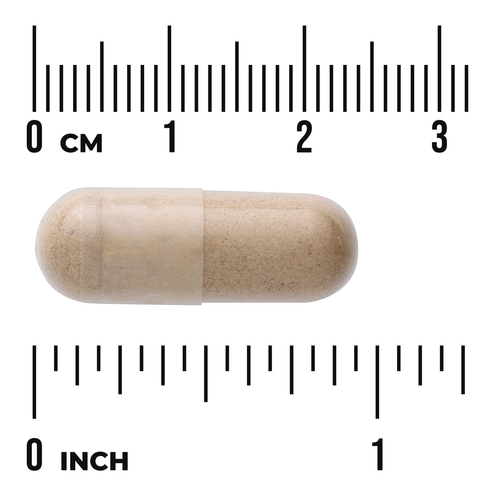 Swanson Vitamins, Full Spectrum® плоды якорцев, 500 мг, 90 капсул