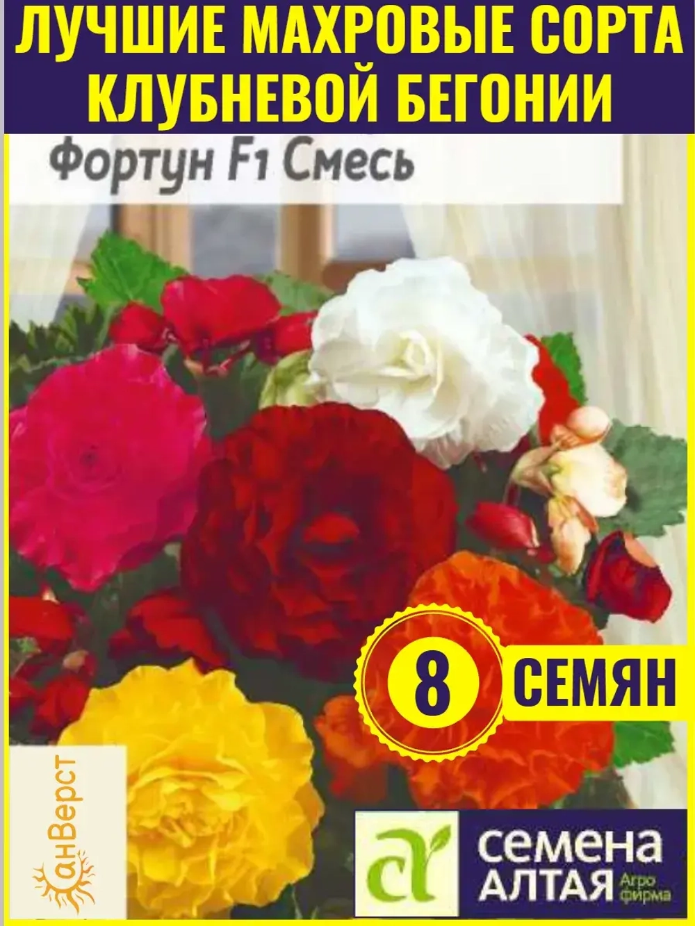 Семена бегонии клубневой Фортун F1 Смесь окрасок