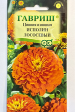 Цинния Исполин лососевый 0,3 г СМЦ-327