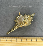 Подвеска люкс (Корея) 0859