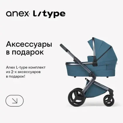 При покупке коляски Anex l/type в подарок сет аксессуаров