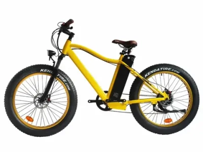 Электрофэтбайк Hoverbot FB-2 PRO FATBIKE
