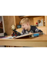 Конструктор Technic 42219 Monster Jam огонь и лед