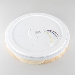 Citilux ENZO CL753452G LED RGB Светильник с пультом Клён