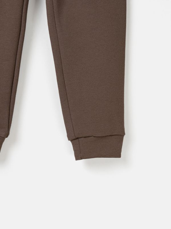 Джоггеры облегченные 