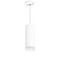 Комплект с подвесным светильником Lightstar Rullo (214486+590056+202430) RP48630