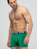 Хлопковые трусы-боксеры с двойным гульфиком (Размер: S) (Цвет: черный)