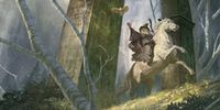 Lord of the Rings RPG