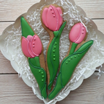 Набор тюльпанов №1