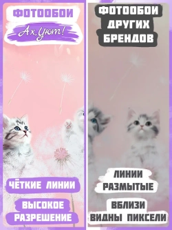 3D детские фотообои одуванчики и милые коты