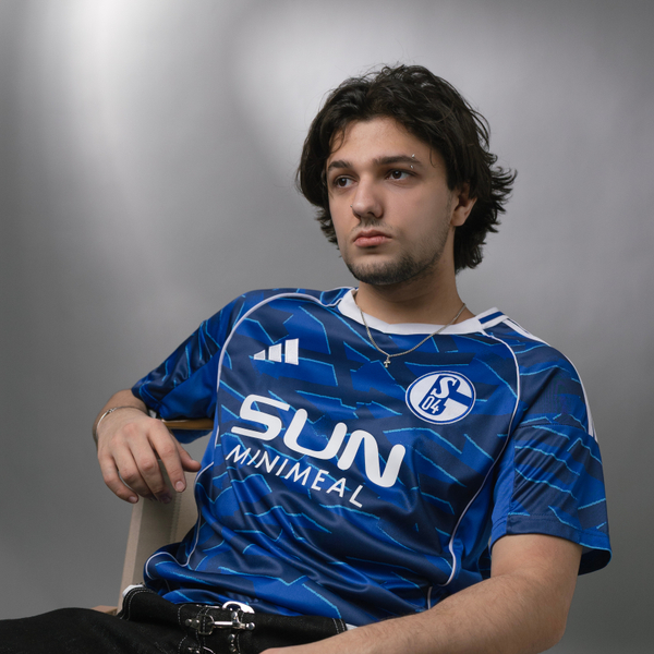 Шальке 04 / Домашняя