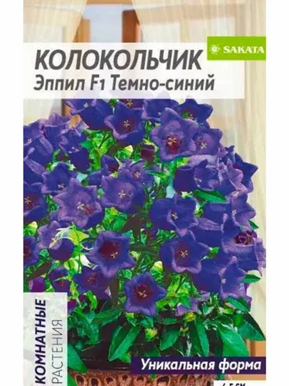 Колокольчик Эппил  комнатные растения