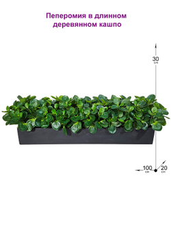Пеперомия искусственная 100см в длинном деревянном ящике