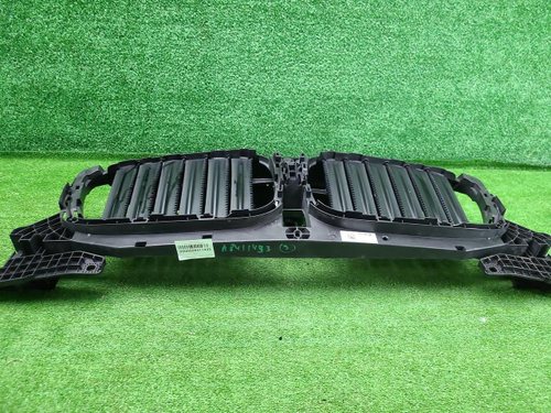 Решетка радиатора BMW X3 G01 (2017-2021)