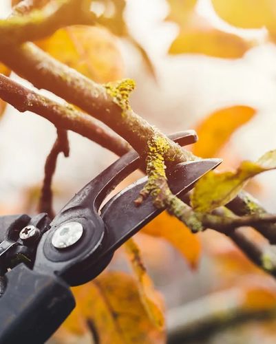 Садовый инвентарь и инструменты