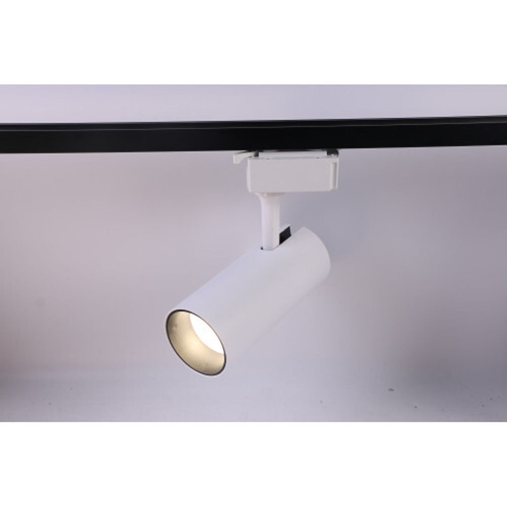 Трековый светильник однофазный ЭРА TR5-20 COB WH светодиодный 20Вт 4000К 1500Лм белый