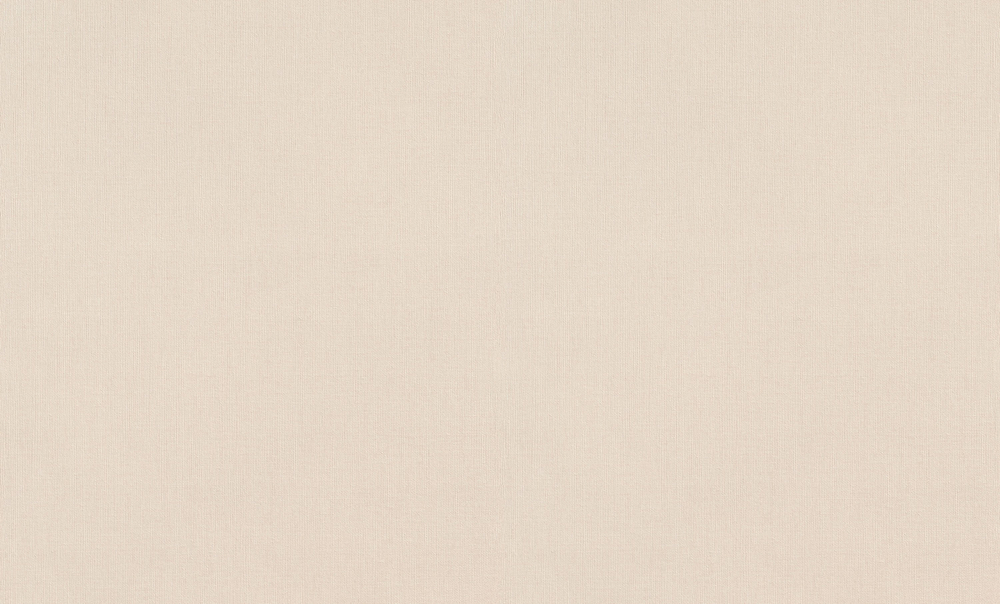 Rush 1.06m*10m 820010 Florentine