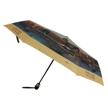 Женский зонт Три Слона Полный автомат 3801-V-03