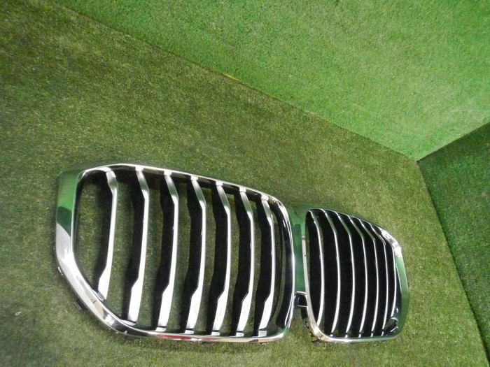 Решетка радиатора BMW X5 G05 (2018-2023)