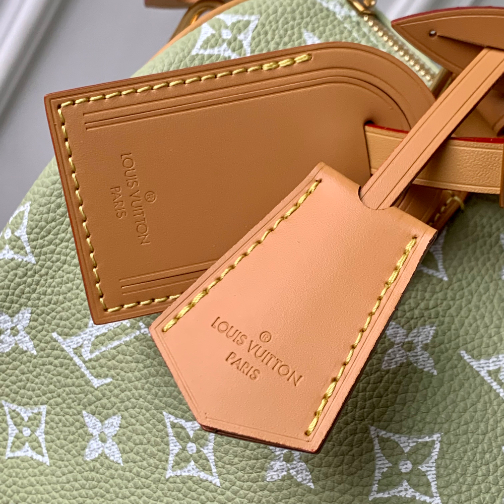 Louis Vuitton Speedy P9 Bandouliere 25